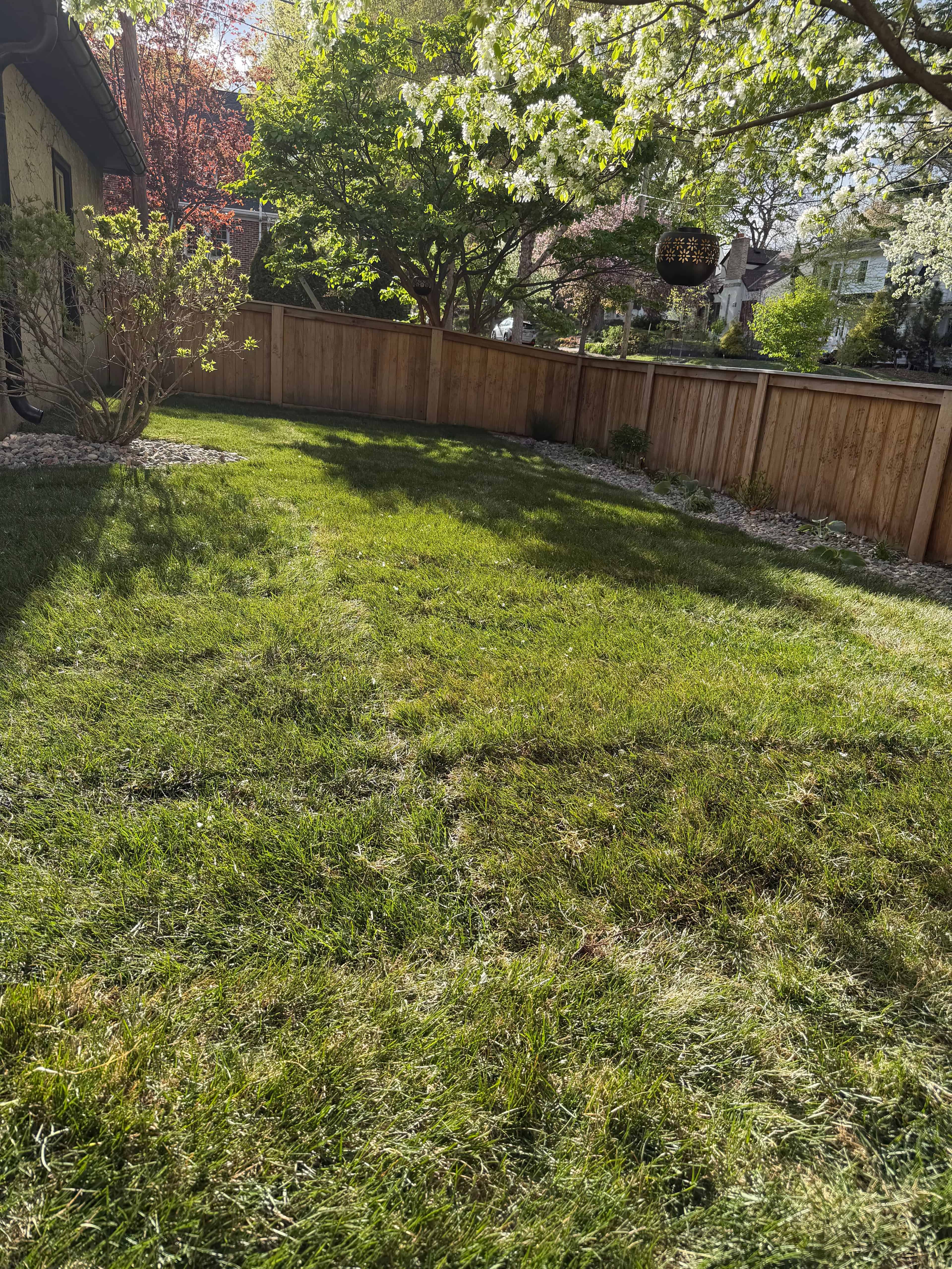 Sod Installation image
