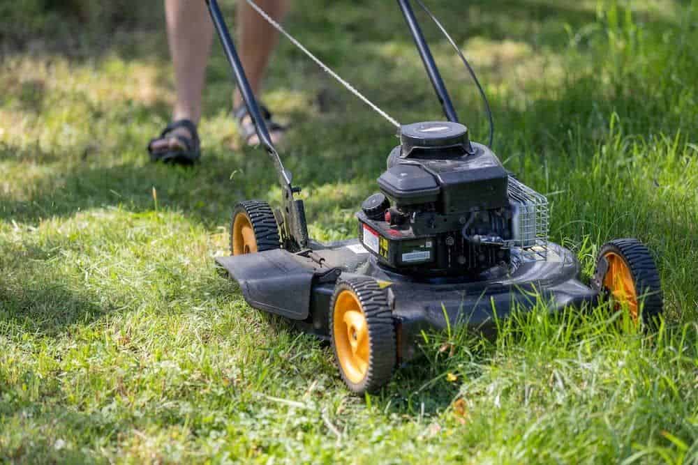 Garden Maintenance image