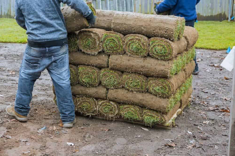 Retaining Wall Construction image