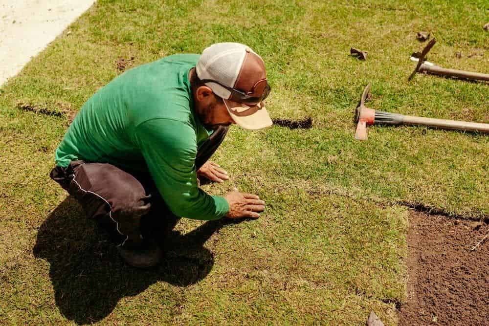 Weed Control image