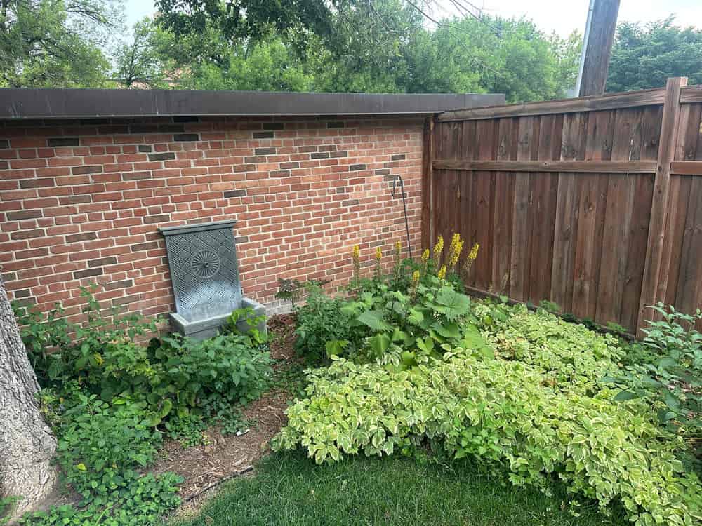 Shrub Removal image