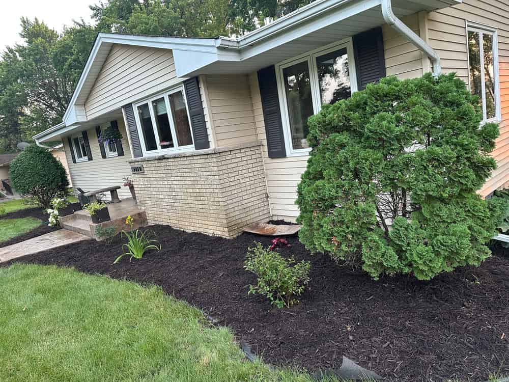 Shrub Pruning image