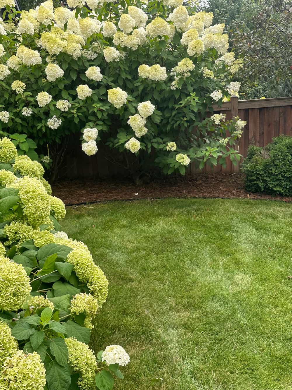Hero image for Cedar Rose Landscapes